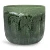 Moon Plant Pot - Jungle