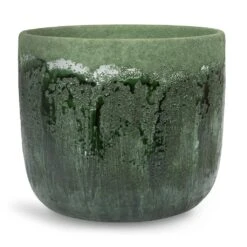 Moon Plant Pot - Jungle