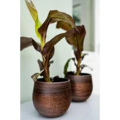 Mya Plant Pot - Shiny Mocha -Garden Potted Plant Shop Mya Plant Pot Shiny Mocha Houseplants
