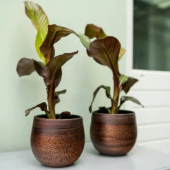 Mya Plant Pot - Shiny Mocha -Garden Potted Plant Shop Mya Plant Pot Shiny Mocha Lifestyle 04