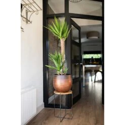 Mya Plant Pot - Shiny Mocha -Garden Potted Plant Shop Mya Plant Pot Shiny Mocha Yucca Houseplant Plant Stand