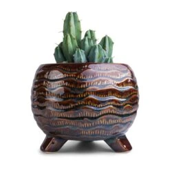 Dewi Plant Pot - Marrakesh 19 Dewi Plant Pot - Marrakesh -Garden Potted Plant Shop Myrtillocactus geometrizans Blue Myrtle Cactus 12x20cm Dewi Plant Pot Marrakesh 21x16cm f8212ba7 6c51 45ed b0d0 63c9b238e20f