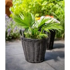 Nanna Wikr Plant Basket - Dark Brown -Garden Potted Plant Shop Nanna Wicker Plant Basket Dark Brown Palm Tree
