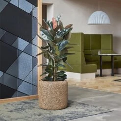 Naturescast Cylinder Planter - Natural -Garden Potted Plant Shop Naturescast Cylinder Planter Natural Lifestyle