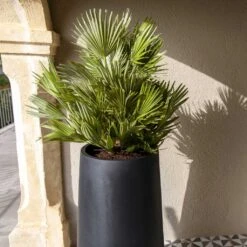 Nax Natural Tall Planter - Black -Garden Potted Plant Shop Nax Natural Tall Planter Black 1