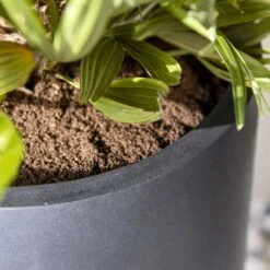 Nax Natural Tall Planter - Black -Garden Potted Plant Shop Nax Natural Tall Planter Black 2