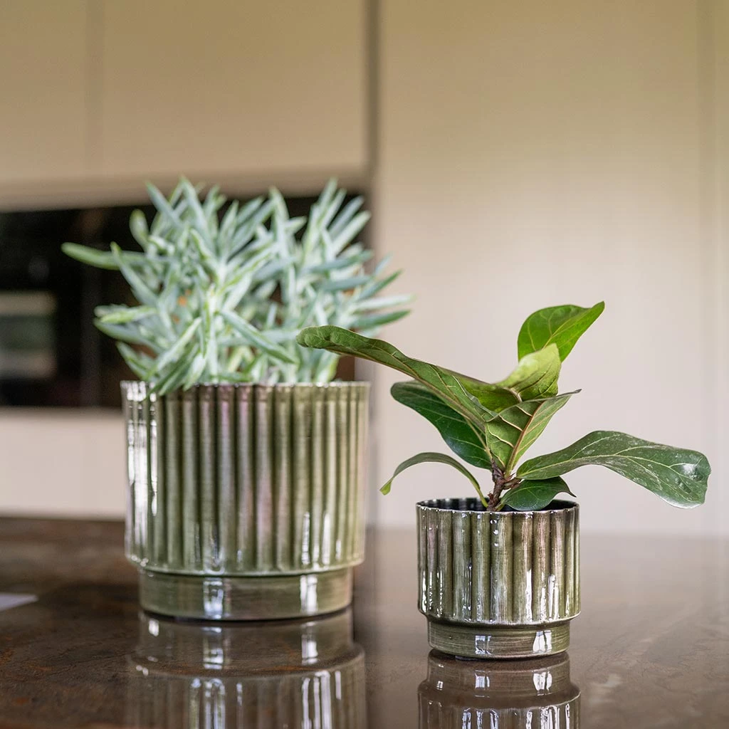 Nella Plant Pot - Forest 2 Nella Plant Pot - Forest - Image 2