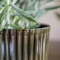 Nella Plant Pot - Forest 24 Nella Plant Pot - Forest -Garden Potted Plant Shop Nella Forest 3
