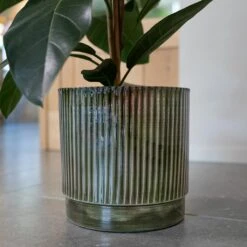 Nella Plant Pot - Forest 21 Nella Plant Pot - Forest -Garden Potted Plant Shop Nella Forest 6