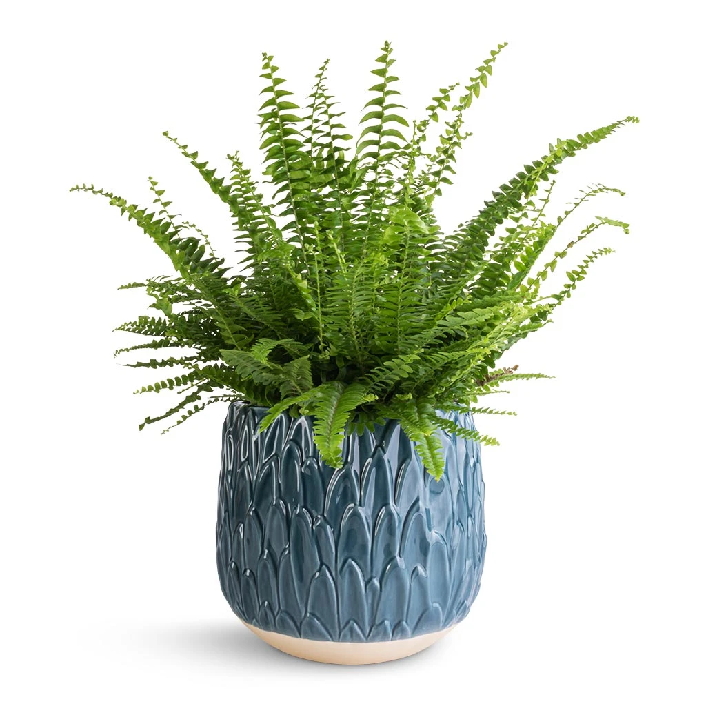 Arles Leaf Plant Pot - Teal 2 Arles Leaf Plant Pot - Teal - Image 2