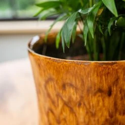 Nolan Plant Pot - Caramel -Garden Potted Plant Shop Nolan Caramel 2