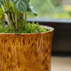 Nolan Plant Pot - Caramel -Garden Potted Plant Shop Nolan Caramel 6
