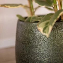 Noor Plant Pot - Velvet Green -Garden Potted Plant Shop Noor Plant Pot Velvet Green 3