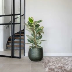 Noor Plant Pot - Velvet Green -Garden Potted Plant Shop Noor Plant Pot Velvet Green 4