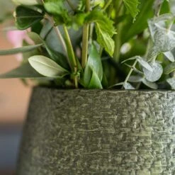 Noor Plant Vase - Velvet Green -Garden Potted Plant Shop Noor Plant Pot Velvet Green 5 c5477a95 00c2 40e5 97f9 53e78b6bc95c