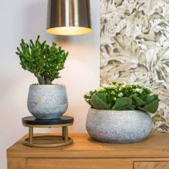 Noor Plant Bowl - Metallic Grey -Garden Potted Plant Shop Noor metalic grey 01