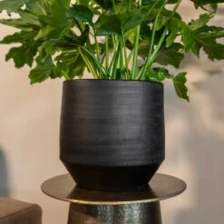 Norell Plant Pot - Black 35 Norell Plant Pot - Black -Garden Potted Plant Shop Norell black 03