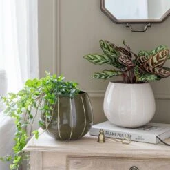 Nova Plant Pot - Green -Garden Potted Plant Shop Nova Plant Pot Cream 23 x 18cm 11781764 6d1a 4491 88d6 b6d75afe7217