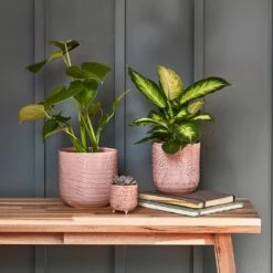 Ocean Glaze Plant Pot - Morganite 17 Ocean Glaze Plant Pot - Morganite -Garden Potted Plant Shop Ocean Glaze Plant Pot Morganite 13 x 13cm