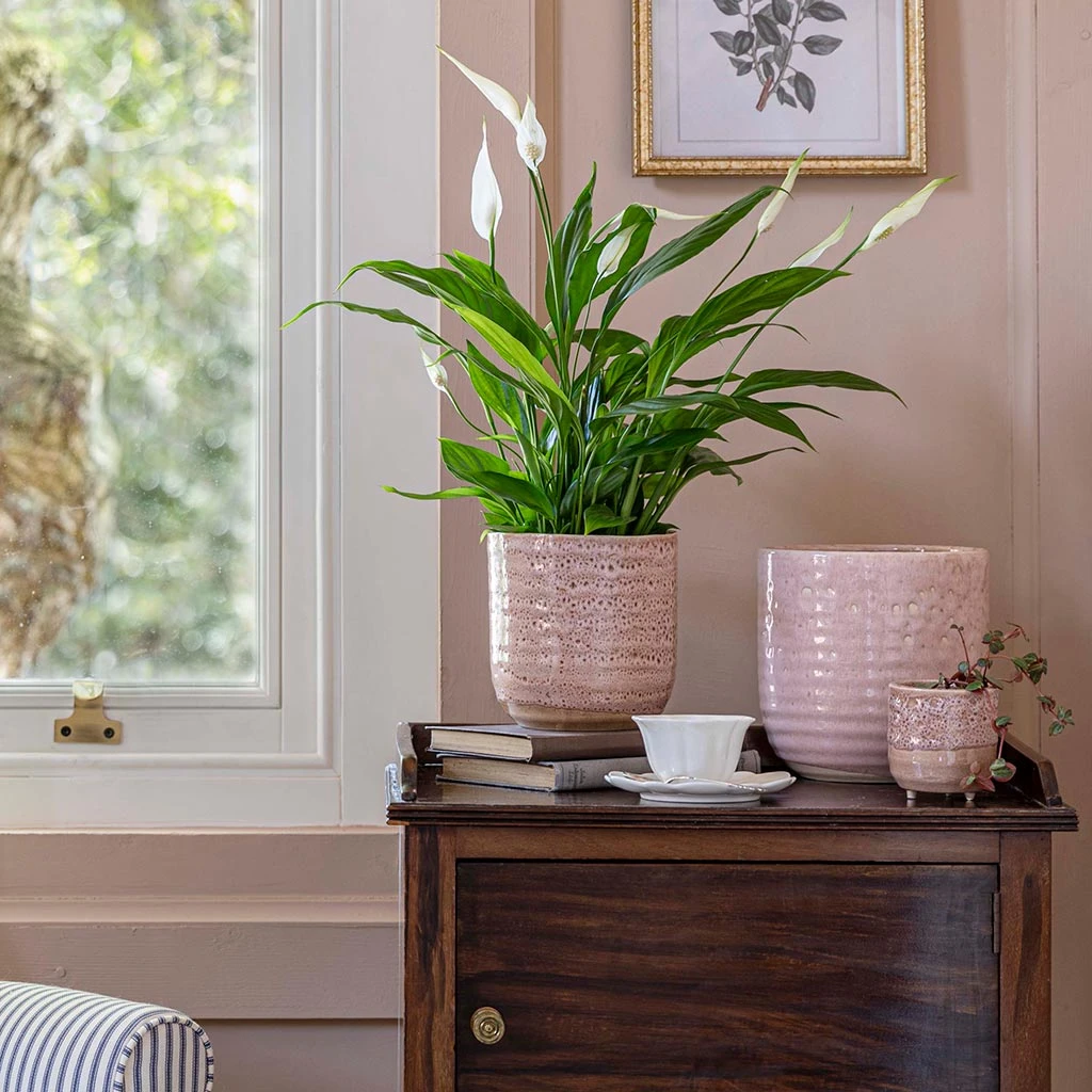 Ocean Glaze Plant Pot - Morganite 9 Ocean Glaze Plant Pot - Morganite - Image 9