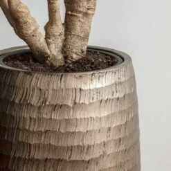 Opus Hammered Partner Planter - Gold -Garden Potted Plant Shop Opus Hammered Partner Planter Gold 1