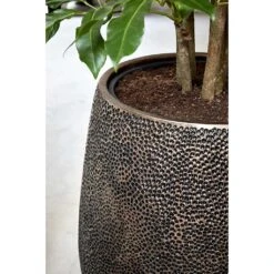 Opus Hit Darcy Planter - Gold -Garden Potted Plant Shop Opus Hit Darcy Planter Gold Close Up