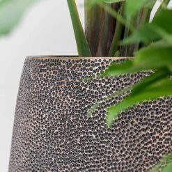 Opus Hit Darcy Planter - Gold -Garden Potted Plant Shop Opus Hit Darcy Planter Gold Textures