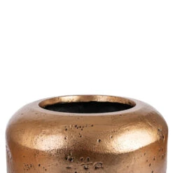 Opus Raw Couple Planter - Gold -Garden Potted Plant Shop Opus Raw Couple Planter Gold SWATCH 3