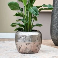 Opus Raw Couple Planter - Silver -Garden Potted Plant Shop Opus Raw Couple Planter Silver