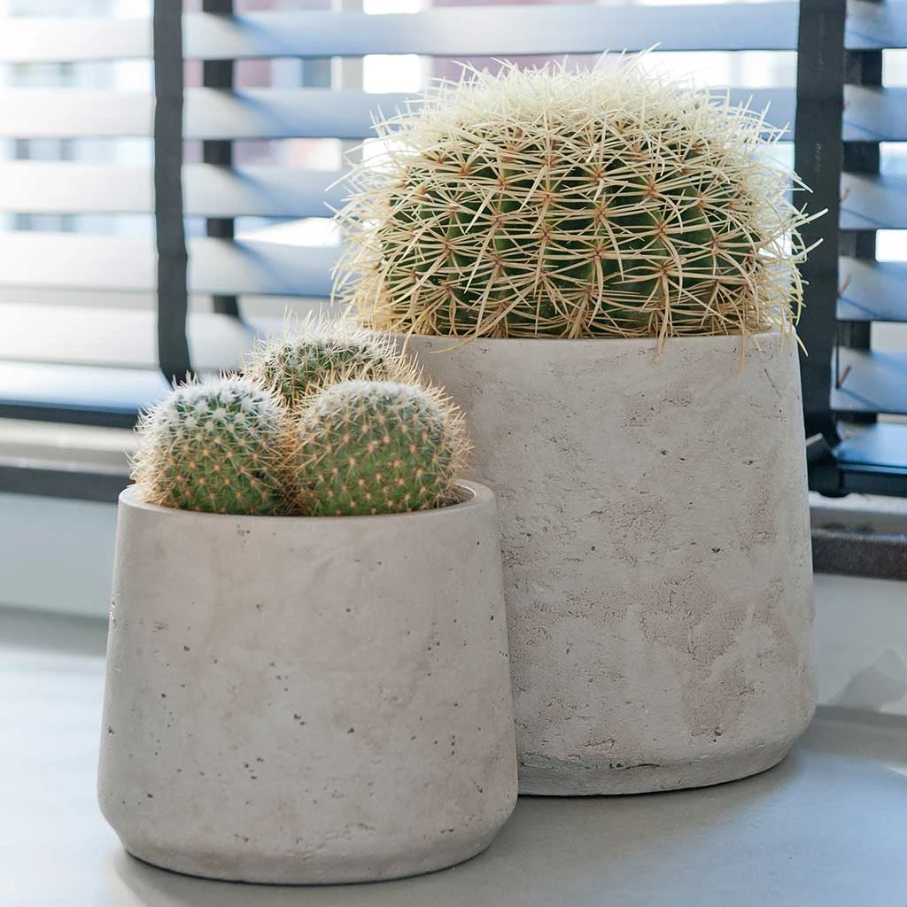 Patt Plant Pot - Grey Washed 8 Patt Plant Pot - Grey Washed - Image 8
