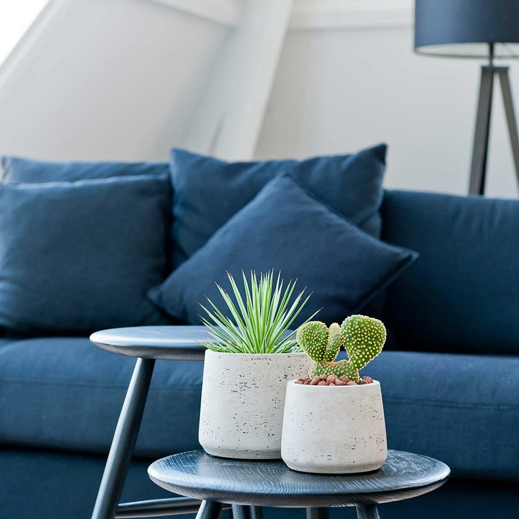 Patt Plant Pot - Grey Washed 4 Patt Plant Pot - Grey Washed - Image 4