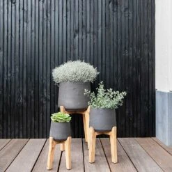 Patt Plant Pot - Tall Stand - Black Washed 11 Patt Plant Pot - Tall Stand - Black Washed -Garden Potted Plant Shop Patt Plant Pot Tall Stand Black Washed Lifestyle 01