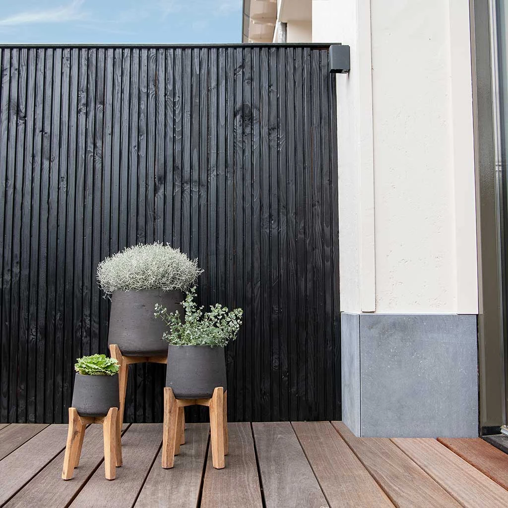 Patt Plant Pot - Tall Stand - Black Washed 5 Patt Plant Pot - Tall Stand - Black Washed - Image 5