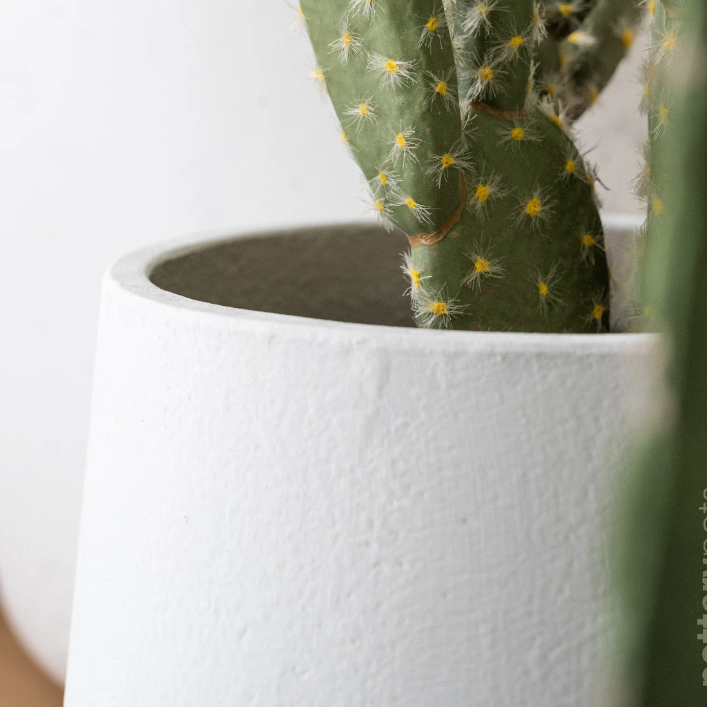 Patt Plant Pot - White Washed 4 Patt Plant Pot - White Washed - Image 4