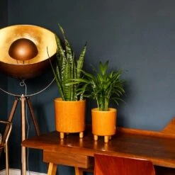 Pisa Plant Pot - Mustard -Garden Potted Plant Shop Pisa Plant Pot Mustard 20 x 24cm