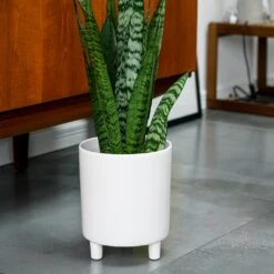 Pisa Plant Pot - White -Garden Potted Plant Shop Pisa Plant Pot White 20 x 24cm