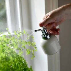 Indoor Plant Mister - Stone -Garden Potted Plant Shop Plant Mister Stone Houseplants