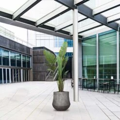 Polystone Coated Darcy Planter - Raw Grey -Garden Potted Plant Shop Polystone Coated Darcy Planter Raw Grey LS1