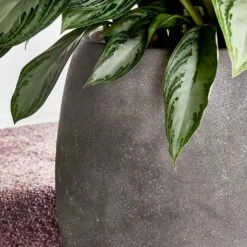 Polystone Coated Plain Balloon Planter - Raw Grey 9 Polystone Coated Plain Balloon Planter - Raw Grey -Garden Potted Plant Shop Polystone Coated Plain Balloon Planter Raw Grey Lifestyle Close