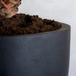 Jesslyn Natural Planter - Black -Garden Potted Plant Shop ProductsJesslynNaturalPlanter Black 2