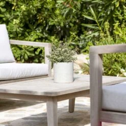 Puk Plant Pot - Grey Washed 10 Puk Plant Pot - Grey Washed -Garden Potted Plant Shop Puk Plant Pot Grey Washed Lifestyle