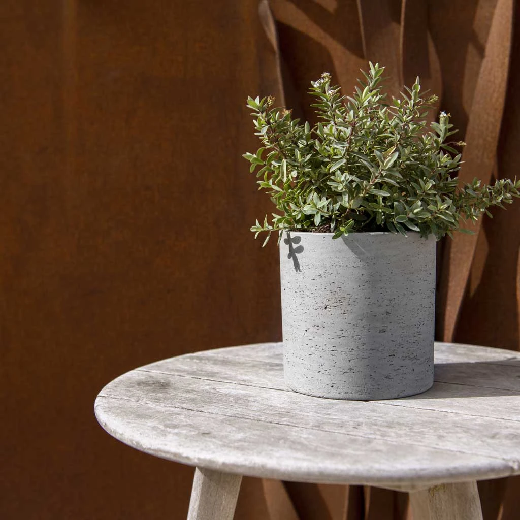 Puk Plant Pot - Grey Washed 2 Puk Plant Pot - Grey Washed - Image 2