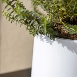 Puk Essentials Planter - Matt White -Garden Potted Plant Shop Puk Planter Matt White Close Up