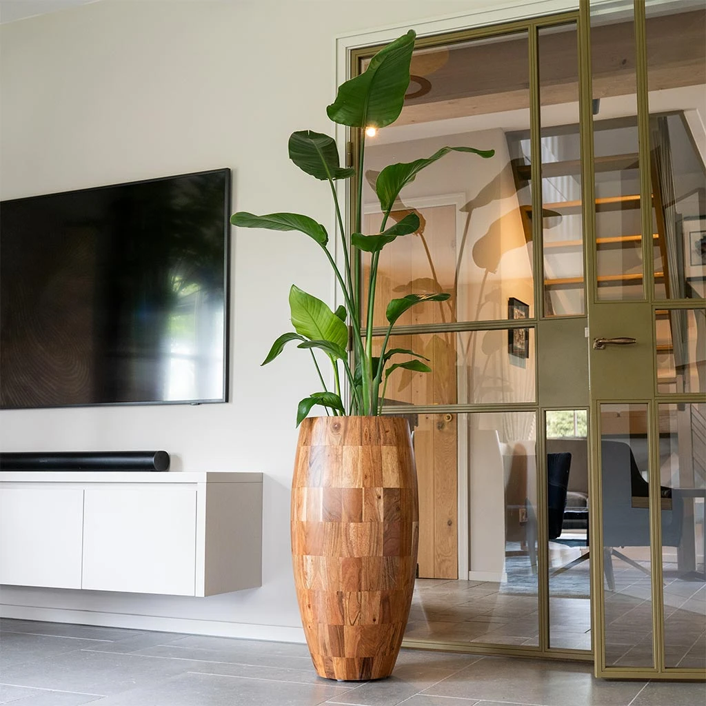 Quinn Tall Planter - Natural 2 Quinn Tall Planter - Natural - Image 2