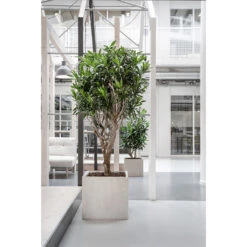 Raindrop Cube Planter - Stone -Garden Potted Plant Shop Raindrop Cube Planter Stone Lifestyle