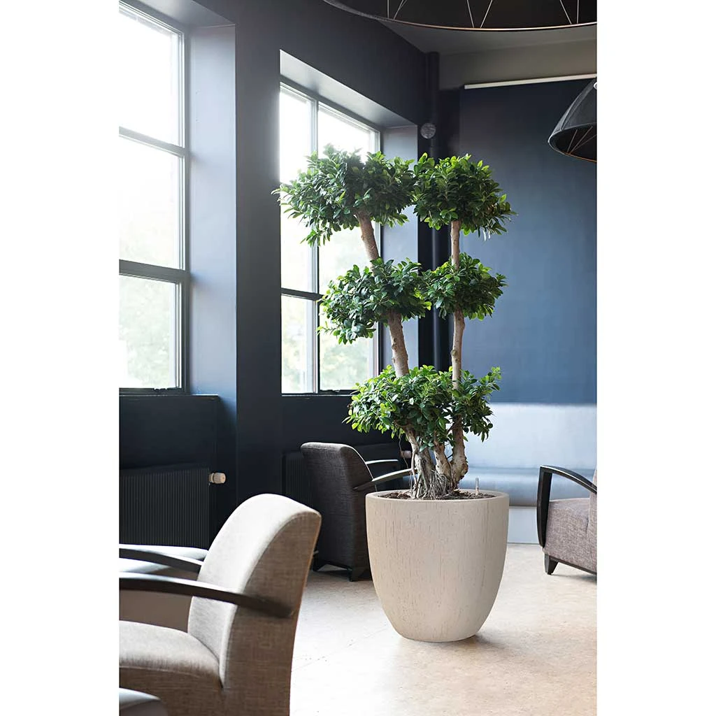 Raindrop Egg Planter - Stone 6 Raindrop Egg Planter - Stone - Image 6