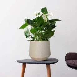 Raindrop Tube Round Planter - Stone 23 Raindrop Tube Round Planter - Stone -Garden Potted Plant Shop Raindrop Tube Round Planter Stone Indoor Plant