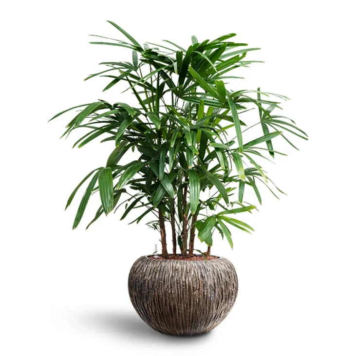 Luxe Lite Waterfall Globe Planter - Bronze 7 Luxe Lite Waterfall Globe Planter - Bronze - Image 7