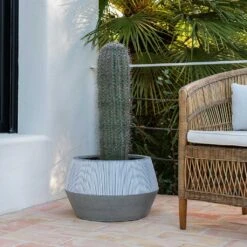 Low Harley Plant Pot - Ridged White Stripe -Garden Potted Plant Shop Ridged Low Harley Plant Pot White Stripe Large Cactus