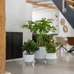 Jesslyn Plant Pot - Ridged White Stripe -Garden Potted Plant Shop Ridged White Stripe Planters 3de83b96 a949 4c68 9448 371e9a4f6605